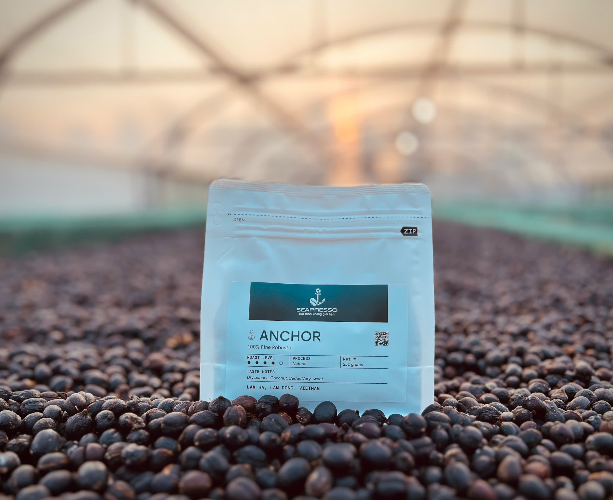 ANCHOR Fine Robusta — sân phơi Lâm Hà